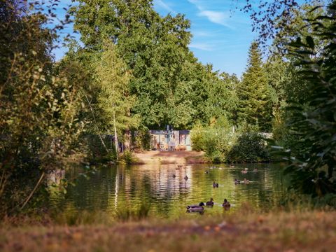 Center Parcs Park Erperheide - Belgisches Limburg - Image N°0